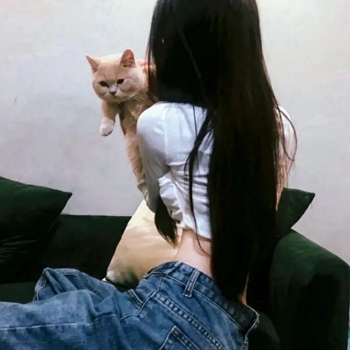 游星王子